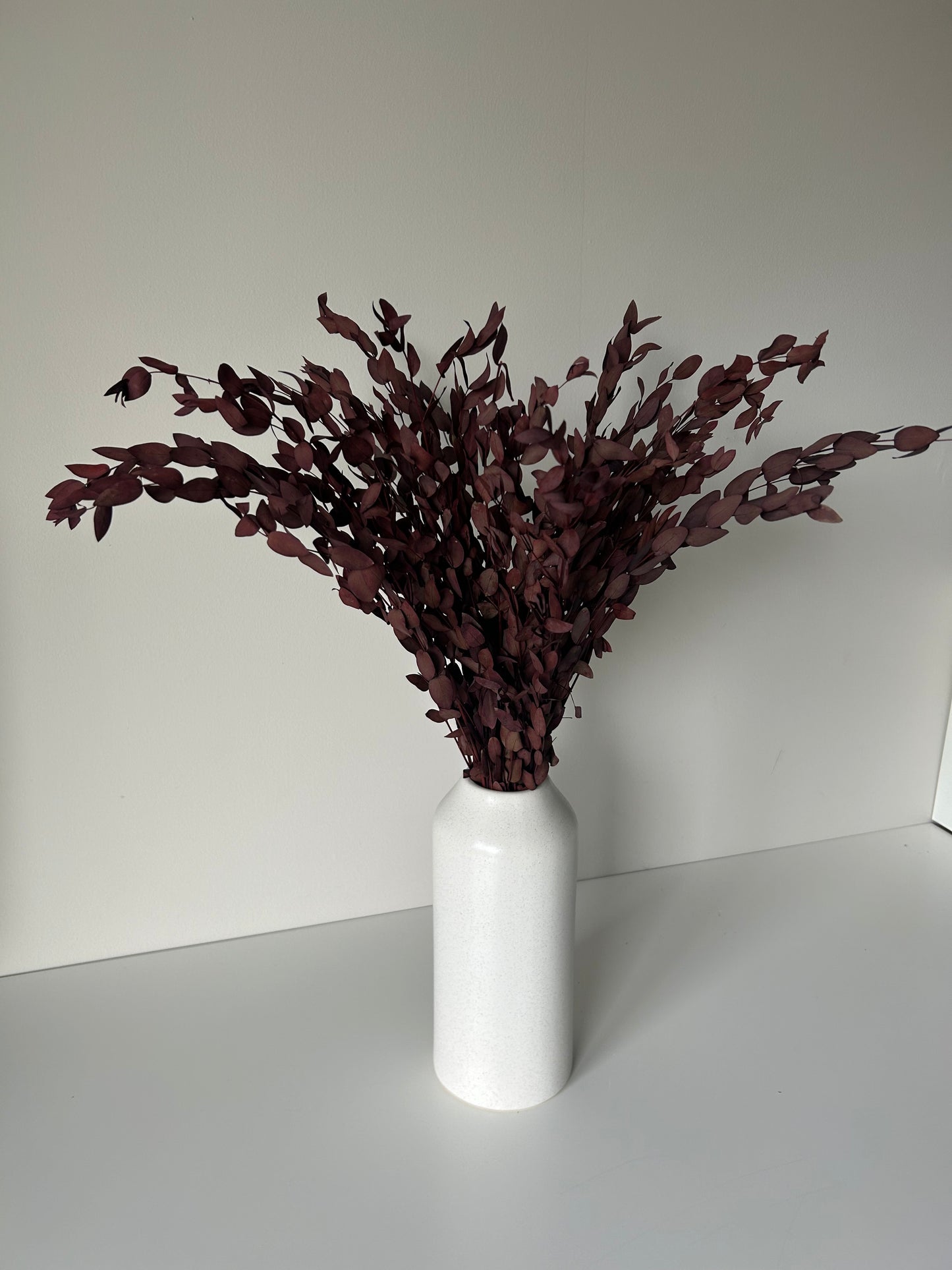Preserved Eucalyptus