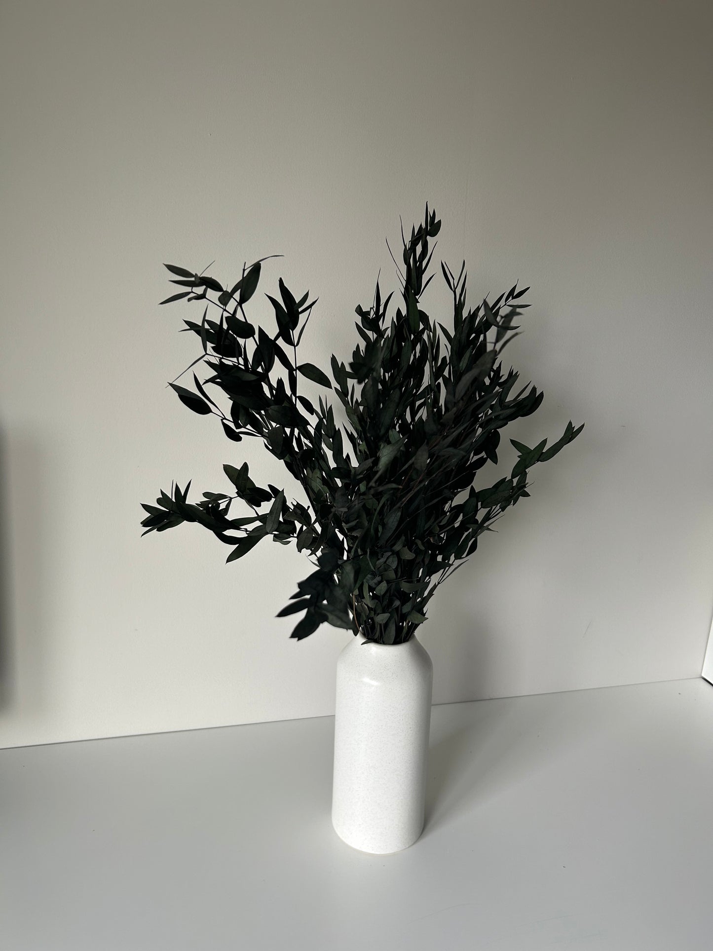 Preserved Eucalyptus