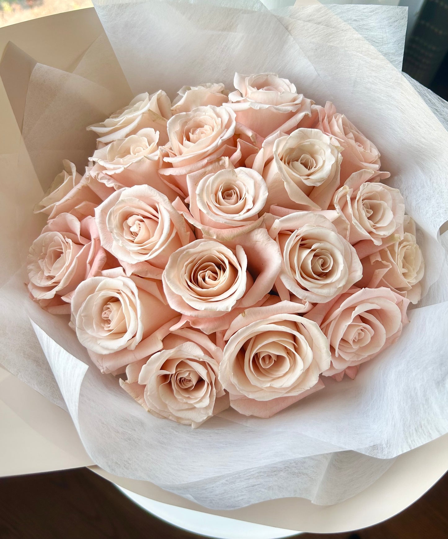 Pink Rose 粉玫瑰