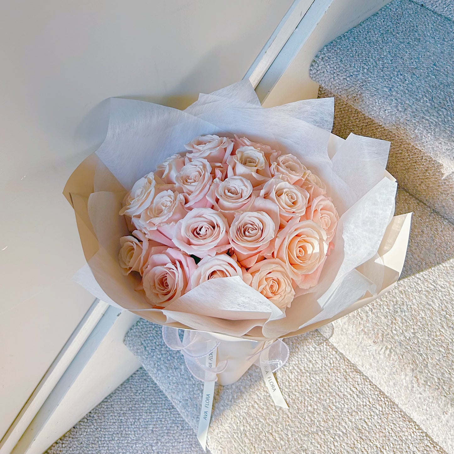 Pink Rose 粉玫瑰