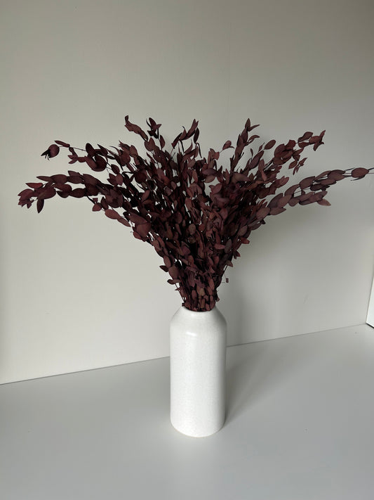 Preserved Eucalyptus